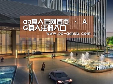 案例展示二