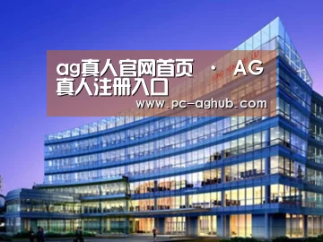 案例展示五