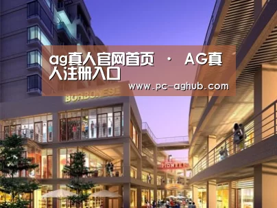 案例展示一