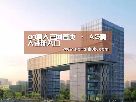 案例展示四