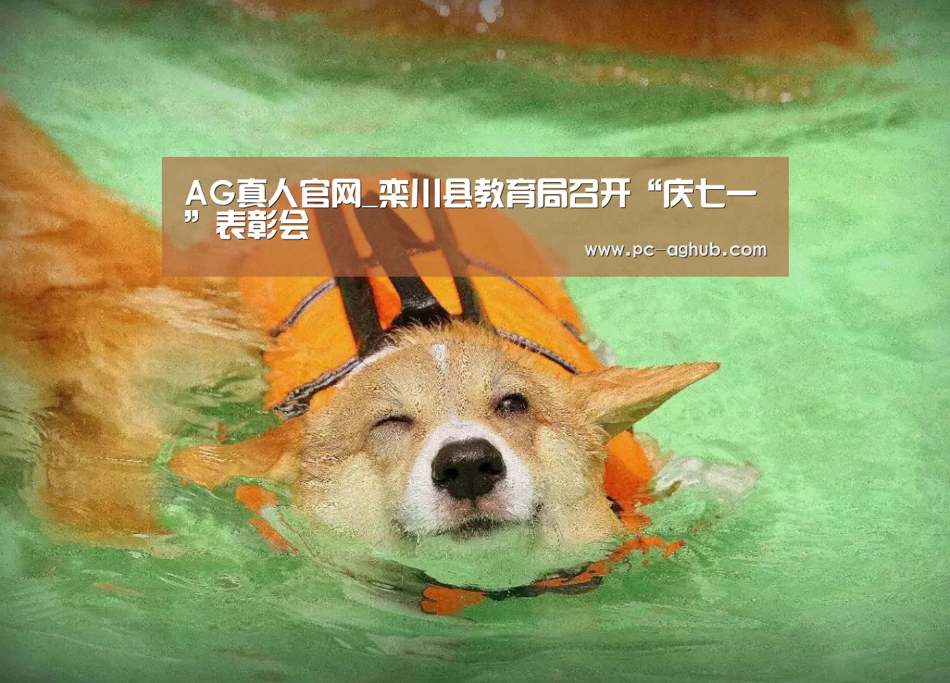 AG真人官网