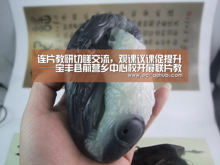 连片教研切磋交流,观课议课促提升——宝丰县前营乡中心校开展联片教研活动【真人视讯】(图1) AG真人官网