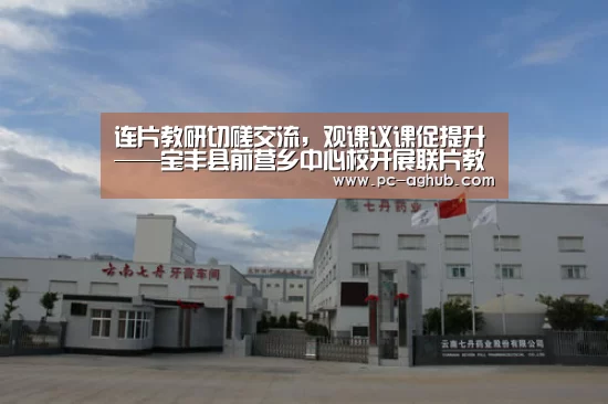 连片教研切磋交流,观课议课促提升——宝丰县前营乡中心校开展联片教研活动【真人视讯】(图4) AG真人官网
