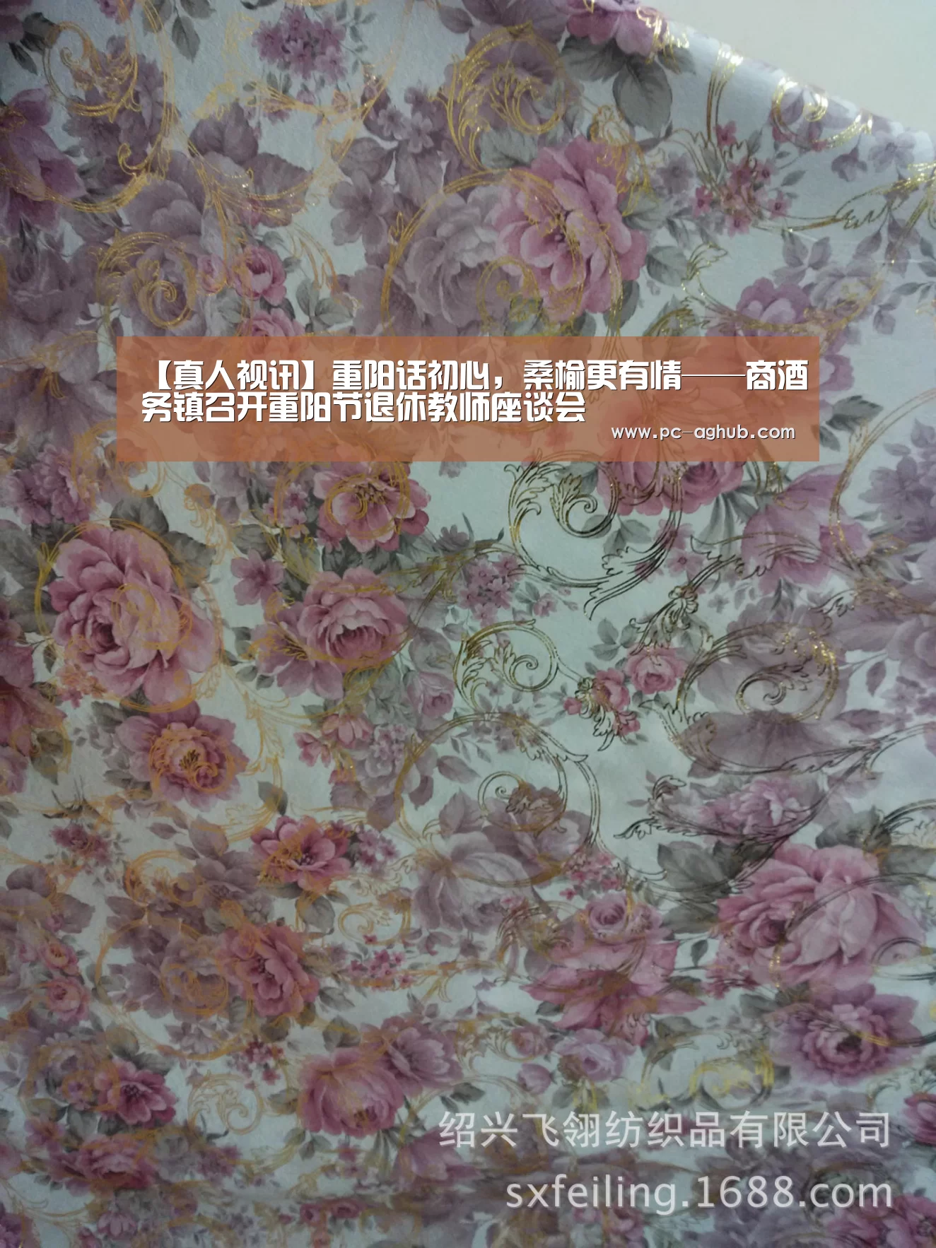 【真人视讯】重阳话初心,桑榆更有情——商酒务镇召开重阳节退休教师座谈会(图2) AG真人娱乐