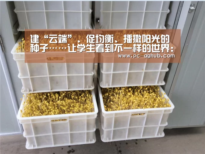 ag真人厅下载